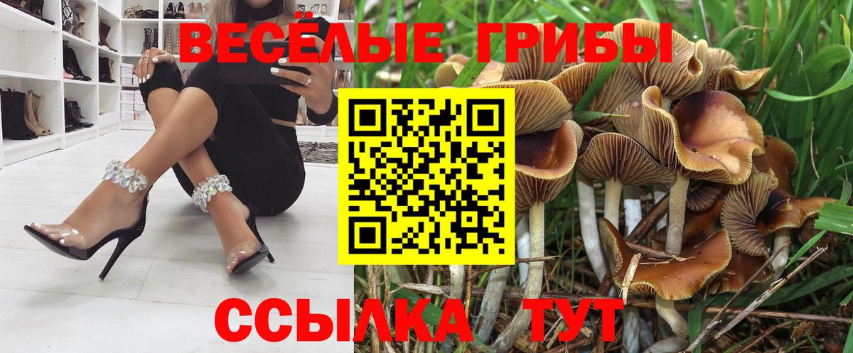 Галлюциногенные грибы Cubensis Чернушка