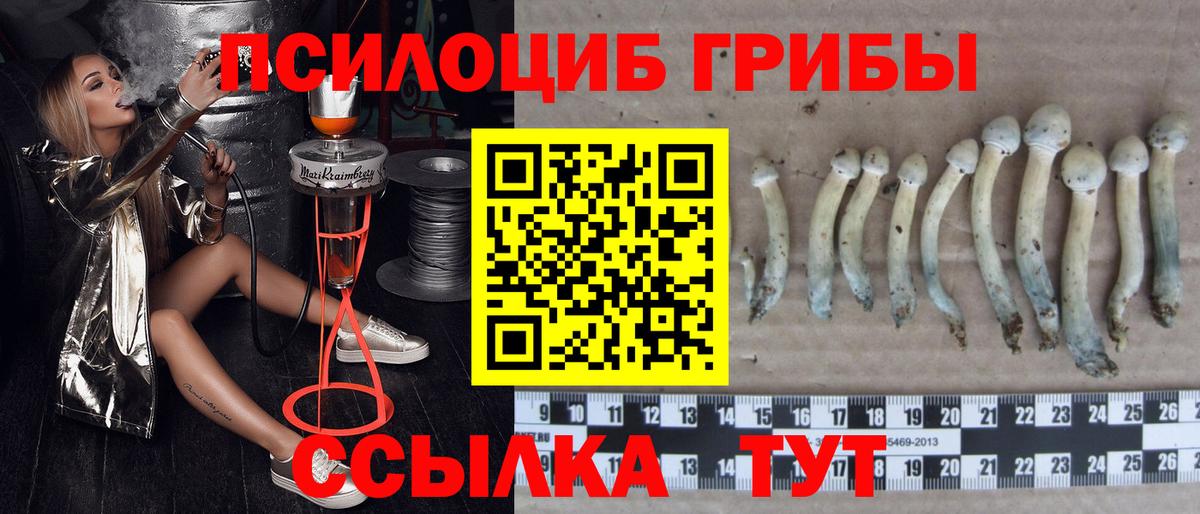 МАРИХУАНА  Вейп ТГК  Меф МЯУ МЯУ кристаллы  ГАШИШ  APVP СК   Чернушка  КОКАИН  Кокаин  Вход с VPN  MDMA  Гашиш 